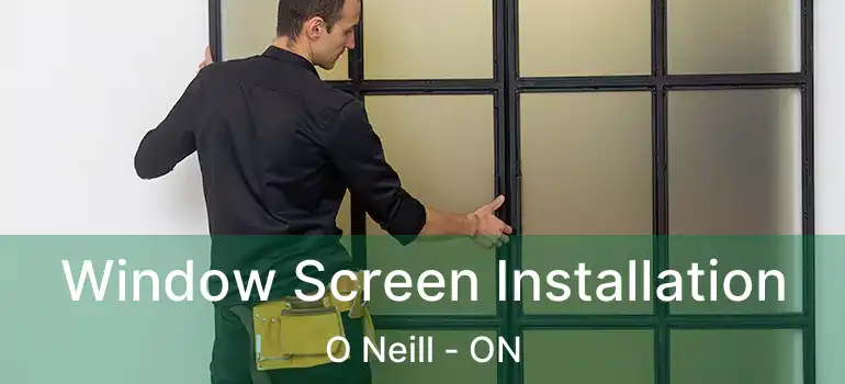  Window Screen Installation O Neill - ON