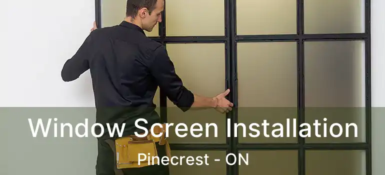  Window Screen Installation Pinecrest - ON