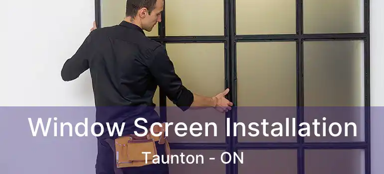  Window Screen Installation Taunton - ON