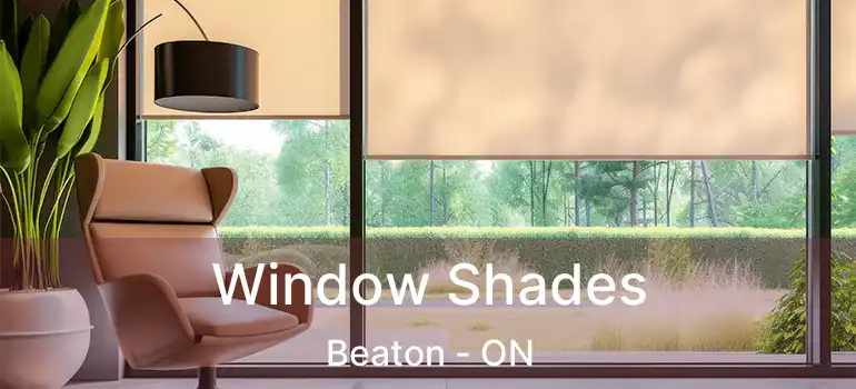  Window Shades Beaton - ON