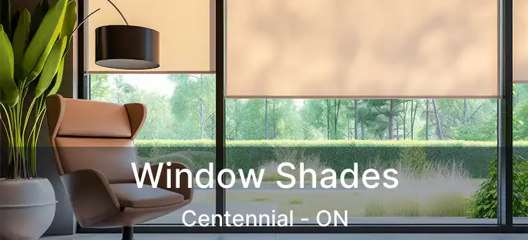  Window Shades Centennial - ON