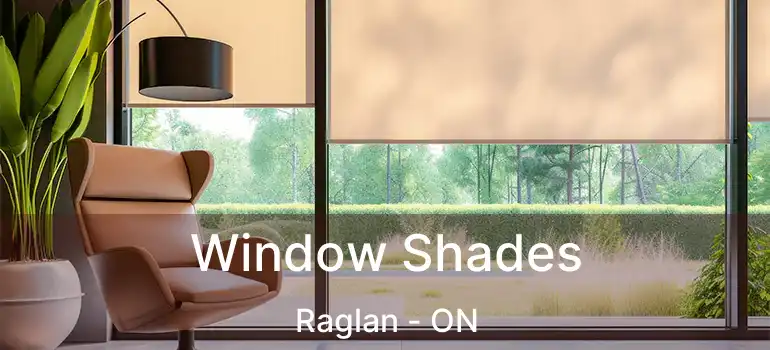  Window Shades Raglan - ON