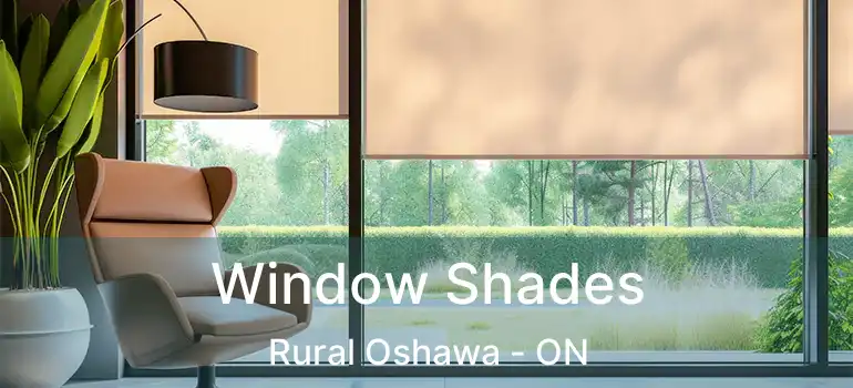  Window Shades Rural Oshawa - ON