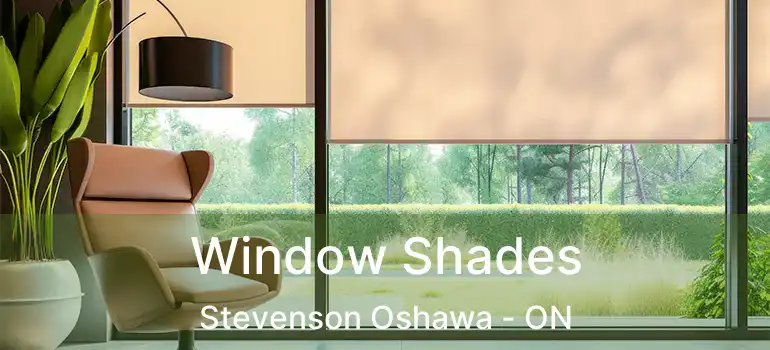  Window Shades Stevenson Oshawa - ON