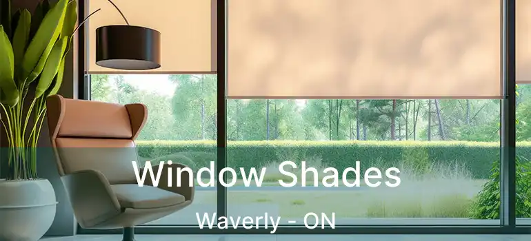  Window Shades Waverly - ON