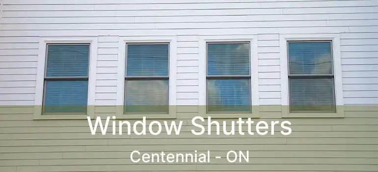  Window Shutters Centennial - ON