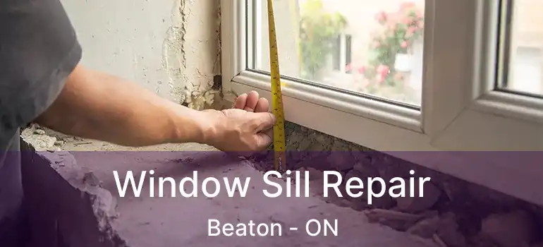  Window Sill Repair Beaton - ON