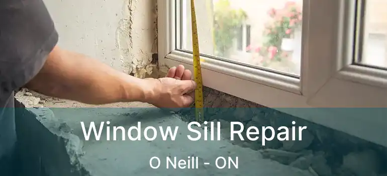  Window Sill Repair O Neill - ON