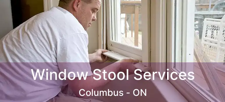  Window Stool Services Columbus - ON