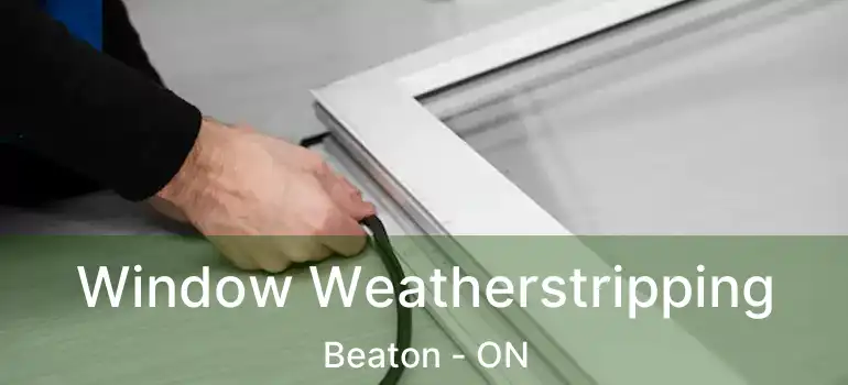  Window Weatherstripping Beaton - ON