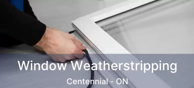  Window Weatherstripping Centennial - ON