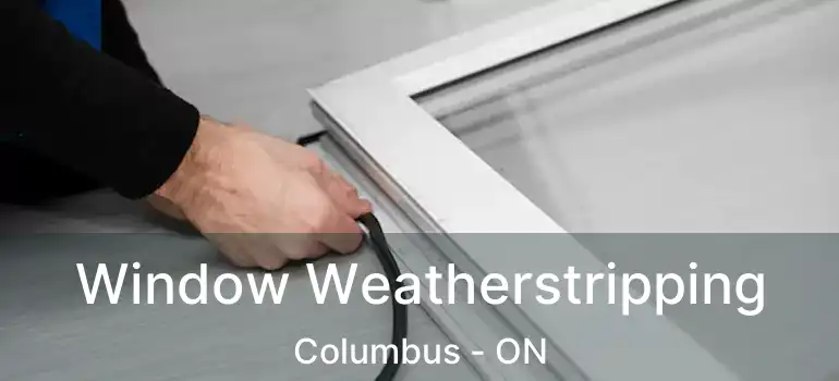  Window Weatherstripping Columbus - ON