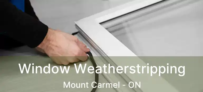  Window Weatherstripping Mount Carmel - ON