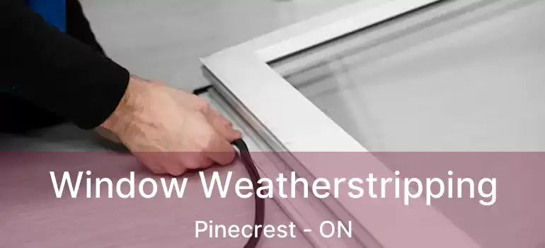  Window Weatherstripping Pinecrest - ON