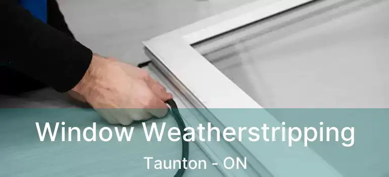  Window Weatherstripping Taunton - ON