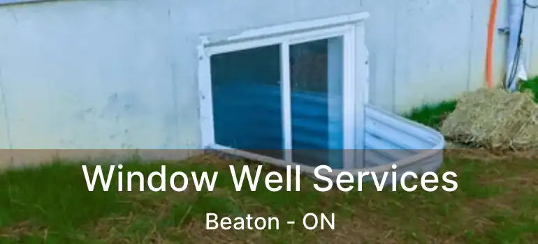  Window Well Services Beaton - ON