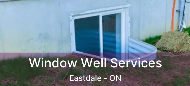  Window Well Services Eastdale - ON