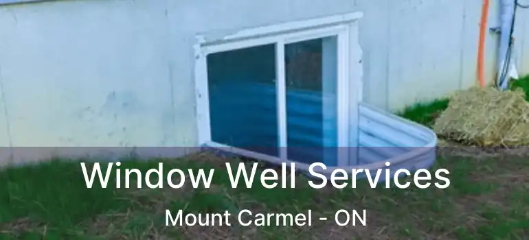  Window Well Services Mount Carmel - ON