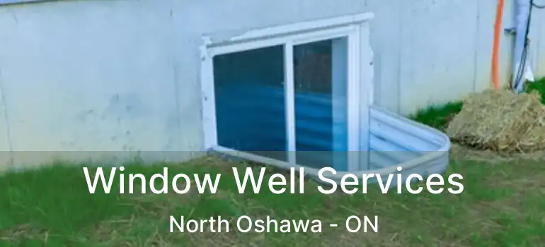  Window Well Services North Oshawa - ON