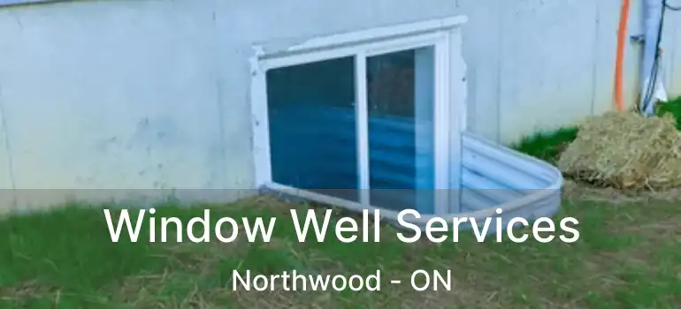  Window Well Services Northwood - ON