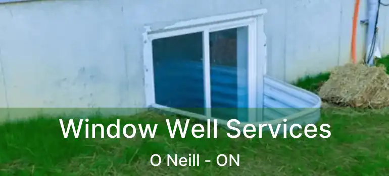  Window Well Services O Neill - ON