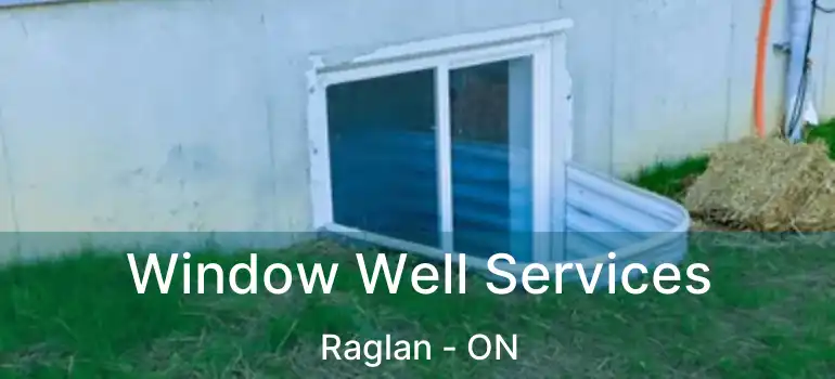  Window Well Services Raglan - ON