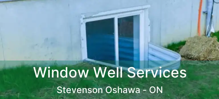  Window Well Services Stevenson Oshawa - ON