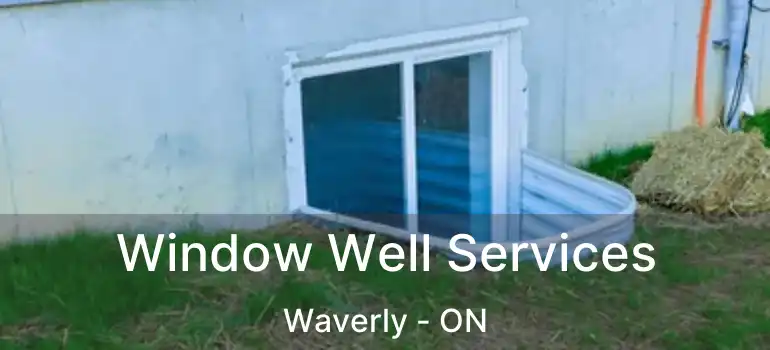  Window Well Services Waverly - ON