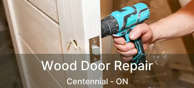  Wood Door Repair Centennial - ON