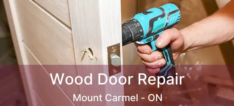  Wood Door Repair Mount Carmel - ON