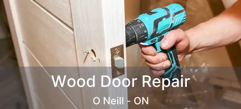  Wood Door Repair O Neill - ON